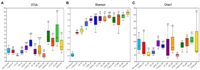 Effects of Lactiplantibacillus plantarum and Lactiplantibacillus brevis on fermentation, aerobic stability, and the bacterial community of paper mulberry silage